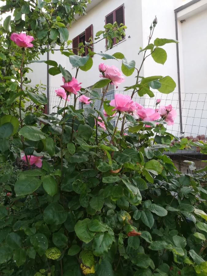 Affitta Camere Casa Delle Rose Villanova Monteleone Eksteriør bilde